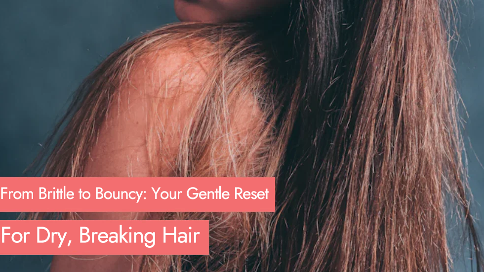 From Brittle to Bouncy: Your Gentle Reset for Dry, Breaking Hair
